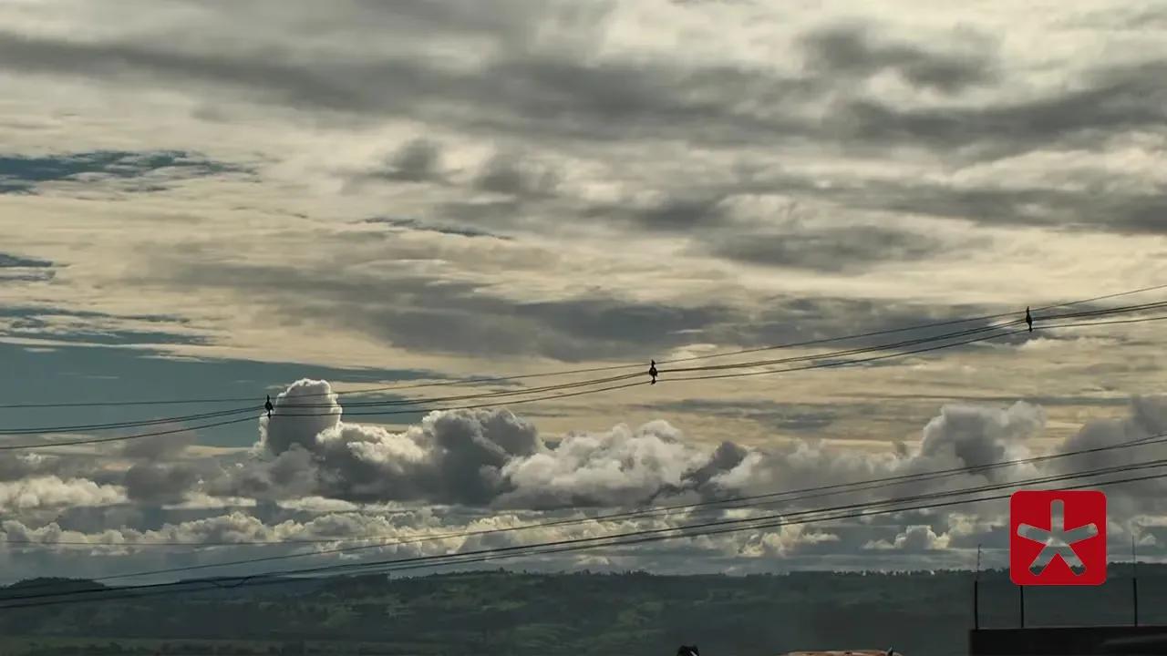 Fique atento aos níveis da água em ruas, córregos e rios; saiba como se proteger 