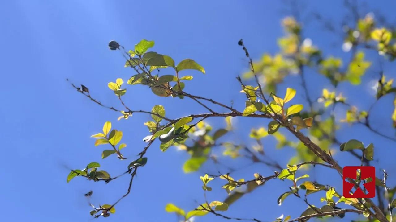 Confira a previsão do tempo para Patos de Minas e região neste fim de semana