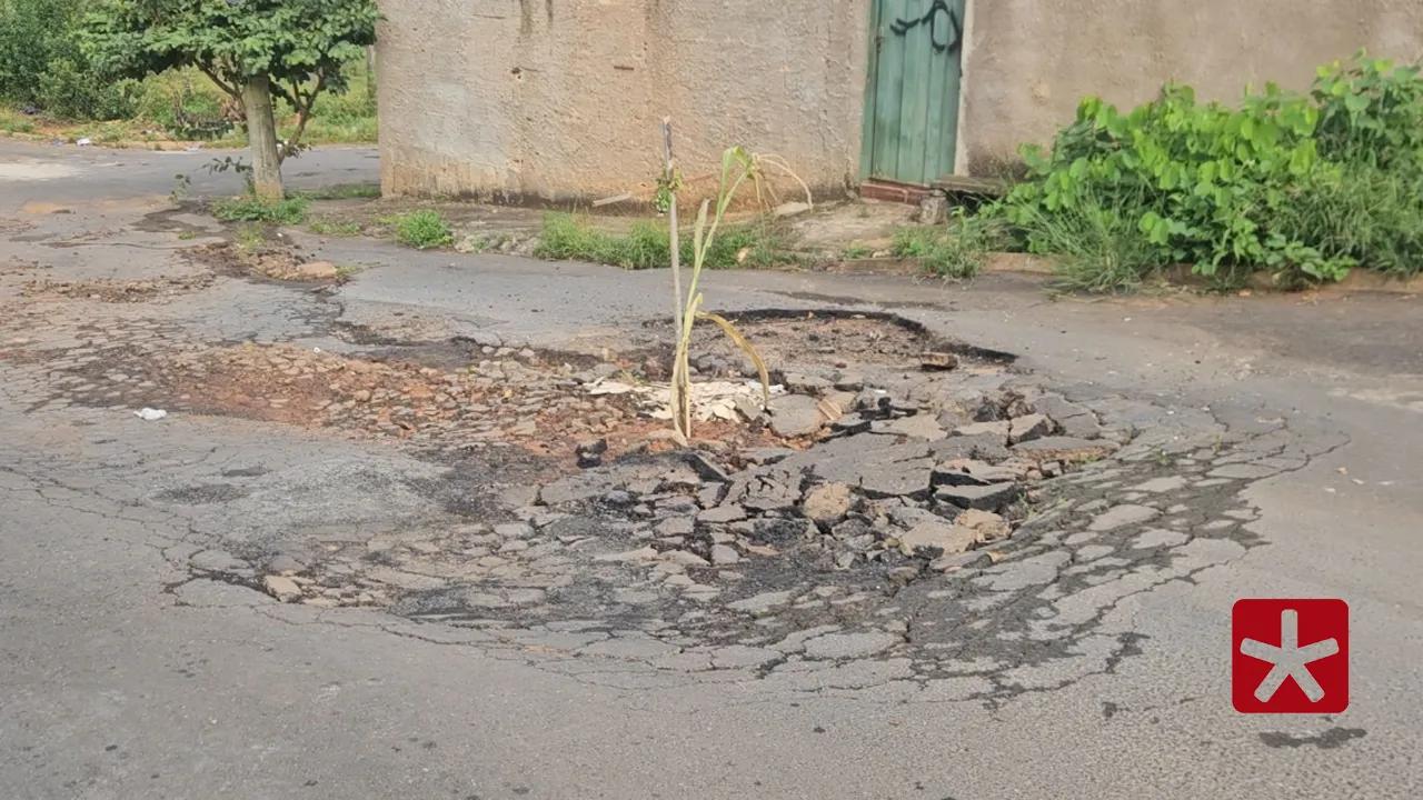 Rua Adão Braz da Silva também falta sinalização adequada para transporte público