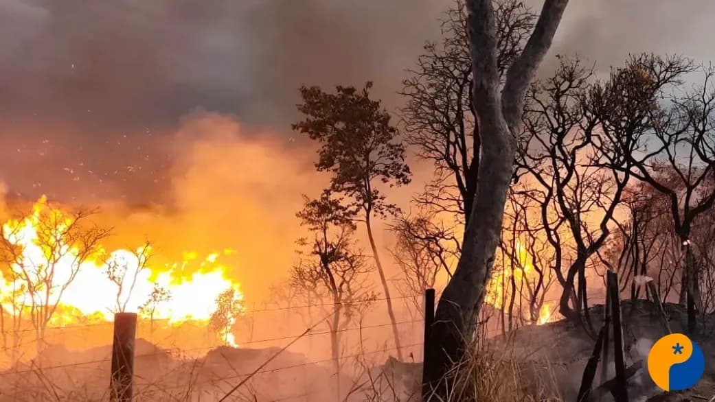 Polícia procura suspeito de incendiar mais de cinco mil metros de vegetação no bairro Planalto 